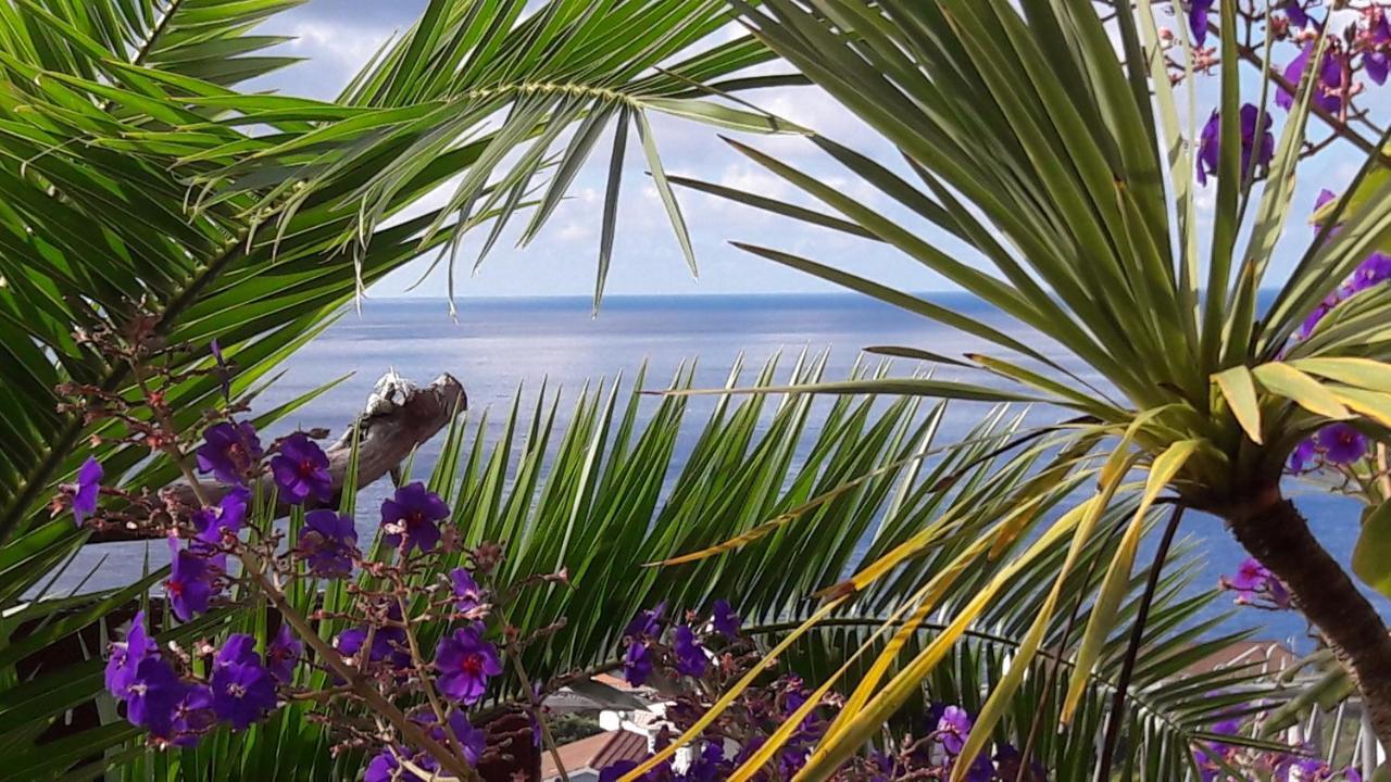 Miradouro Da Papalva Guest House - Pico - Azores Sao Joao  Екстериор снимка