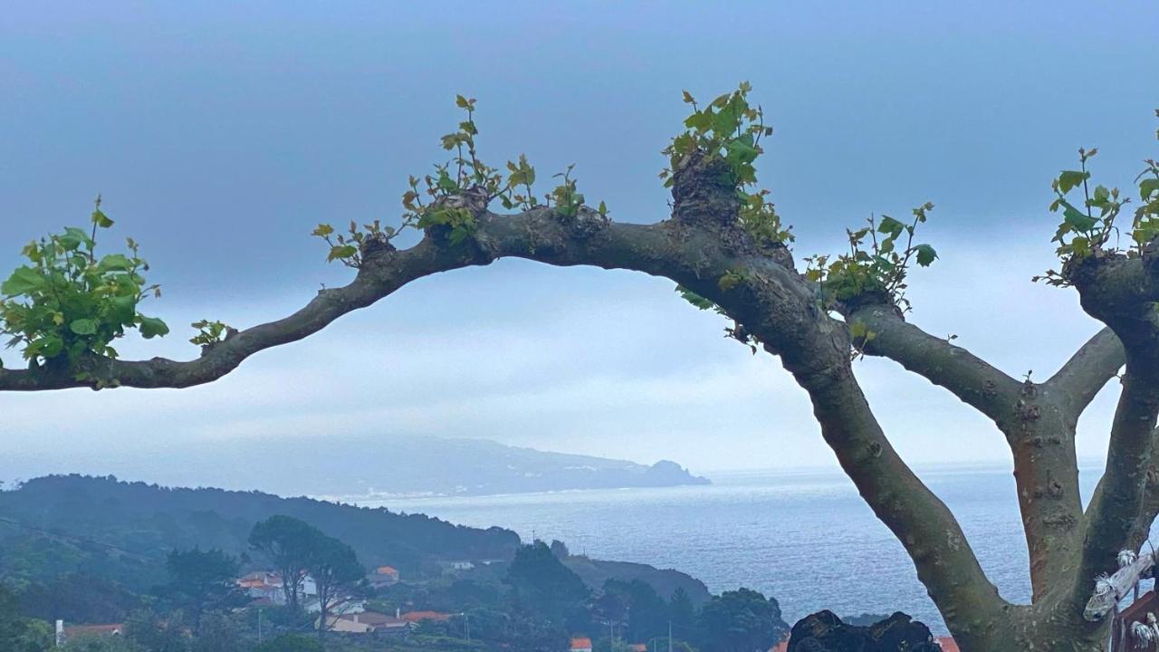 Miradouro Da Papalva Guest House - Pico - Azores Sao Joao  Екстериор снимка