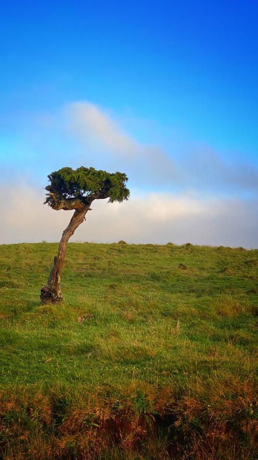 Miradouro Da Papalva Guest House - Pico - Azores Sao Joao  Екстериор снимка